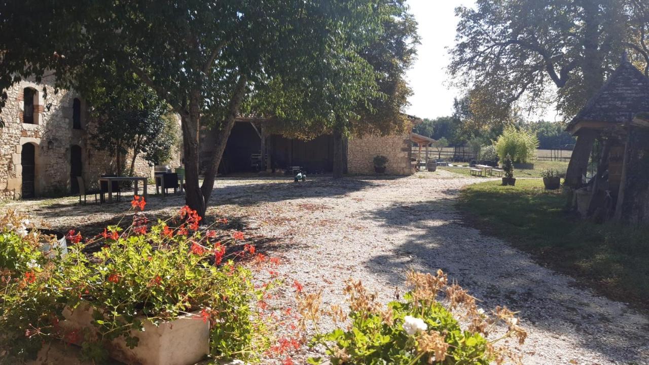 مبيت وإفطار فينوف سور لو Domaine L'Esprit D'Antan المظهر الخارجي الصورة